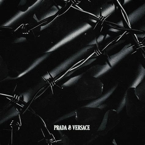 chris versace|prada and Versace chris grey.